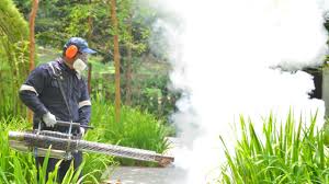 Best Fumigation Services  in Litchfield, IL